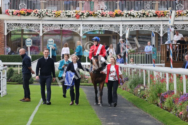 yr09102021r2-24 - Race 2 2.02pm Coral Beaten-By-A-Length Free Bet Rockingham Stakes