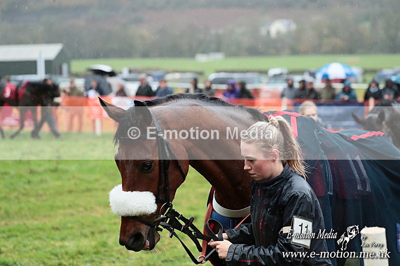 PtP 091125  0262 - Point-to-Point Wales Area Club Lower Machen, Gwent 09/11/25