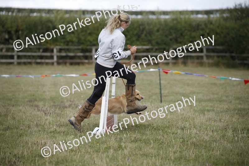20250831-3860 - Dog Show