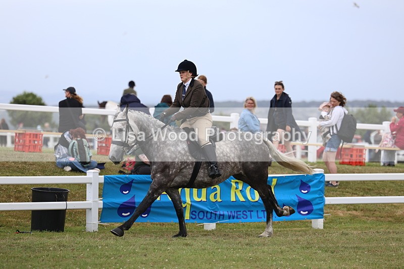 3E7A1502 - Class 9: Open Hunter