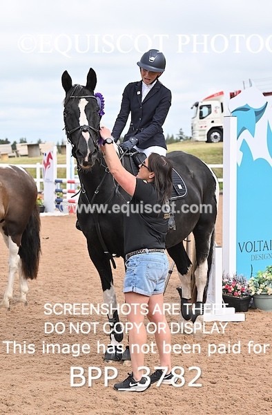 BPP_3782 - CLASS 1 WED Nupafeeds Senior Dicovery/1m open