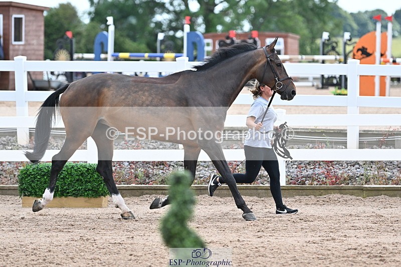 240717A-143155-02114 - Trot Up 2pm to 3pm - This folder is not in time order