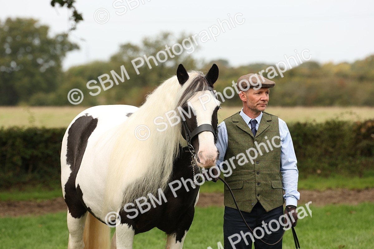 SBM_59323 - S57 - Traditional Cob In Hand