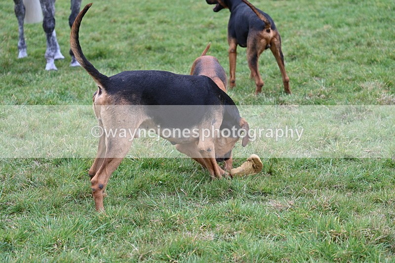 WJ7_7792 - Meet