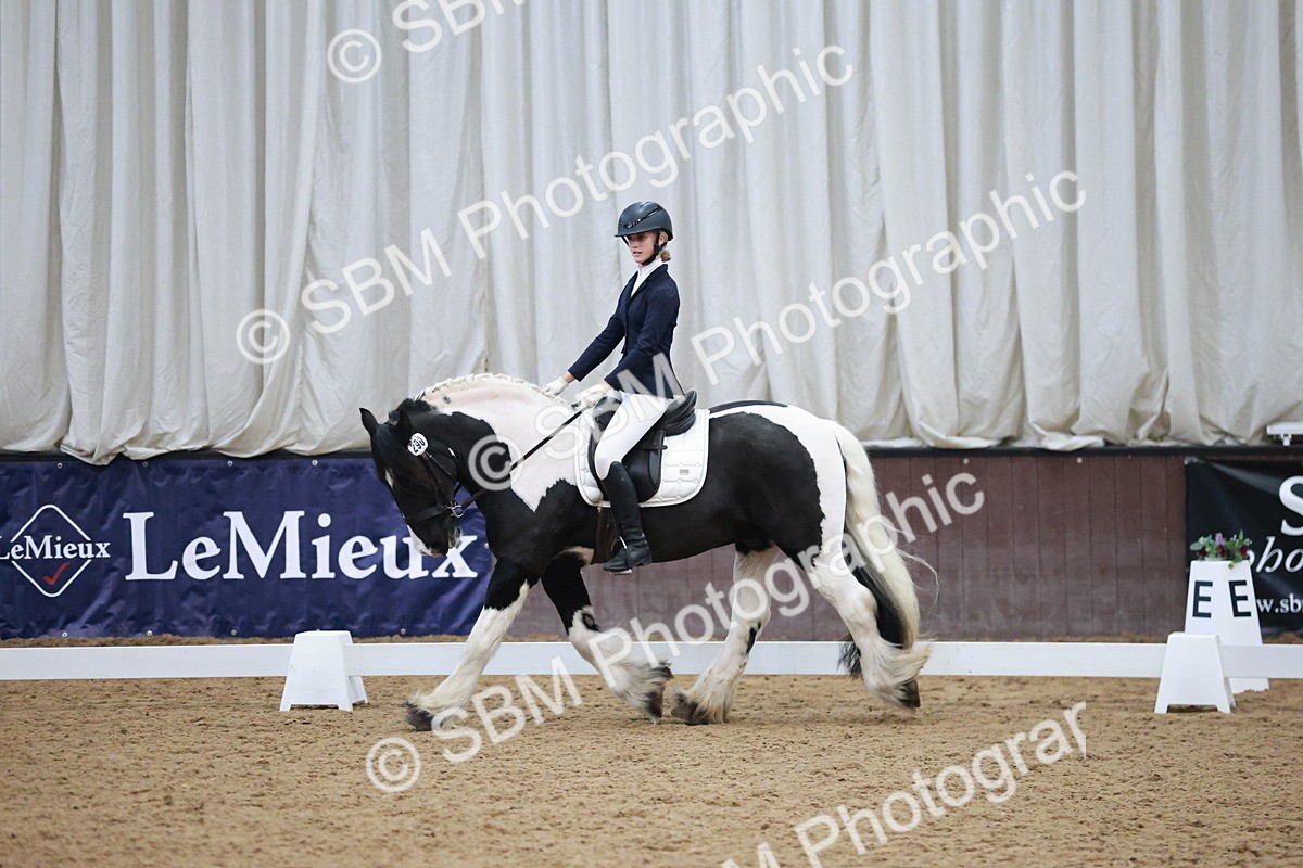 SBM_004555 - Ring 3 - International -  Working Hunter Classes 23-2-25