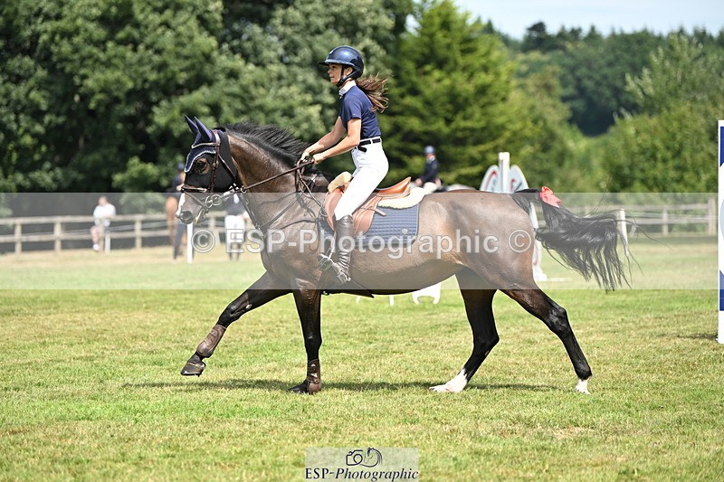 250704A-112839-07270 - Cls 25 Snr British Novice and 90cm