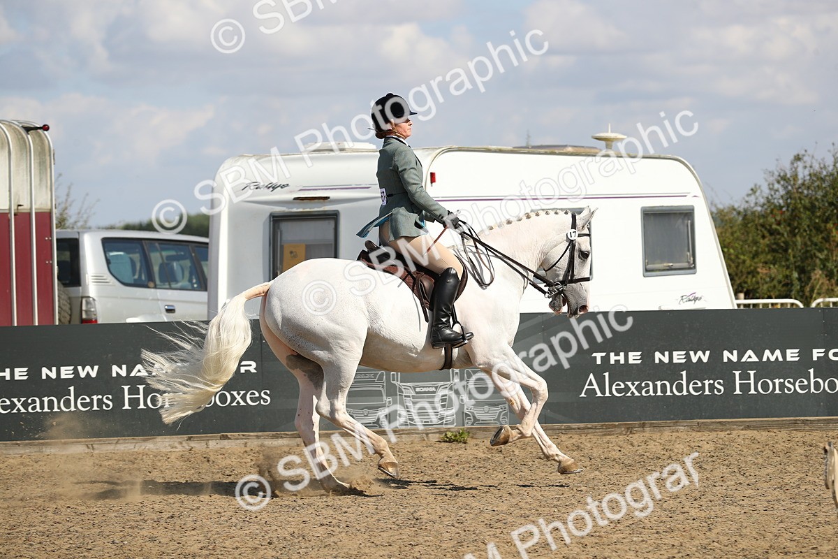 SBM_03265 - Class 44 Riding Club Horse/ Pony