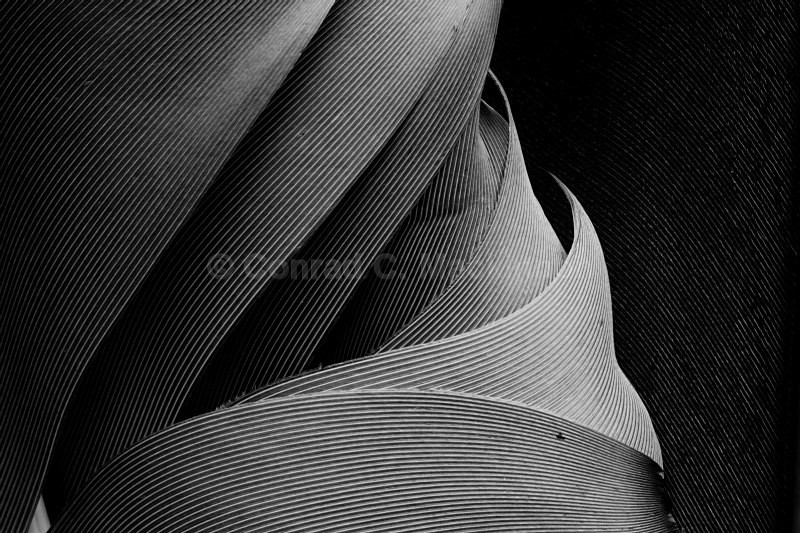 Natures design - My darker side