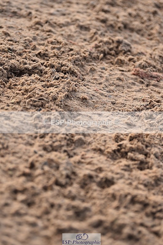 231028A-111128-00727 - Cls 2 British Novice & 80cm Open