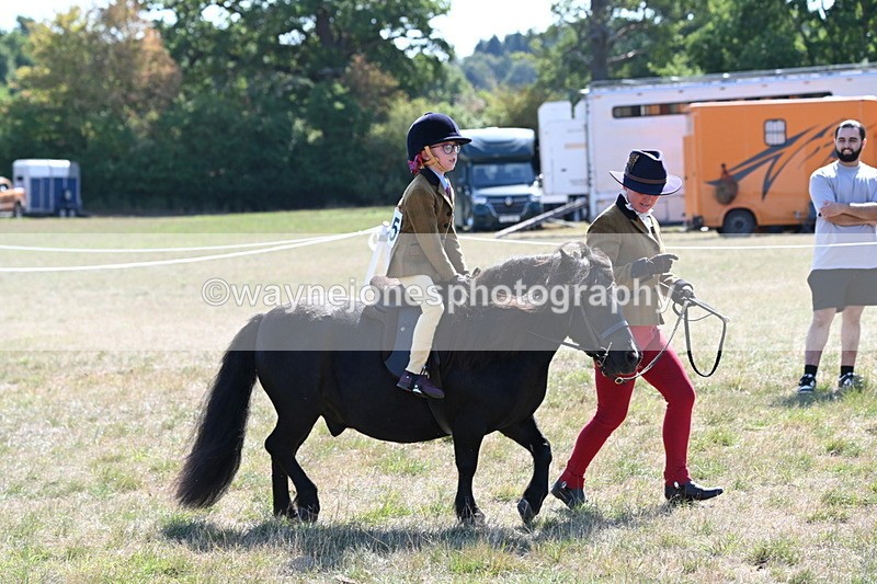 WJ6_7717 - Class 36 Lead Rein