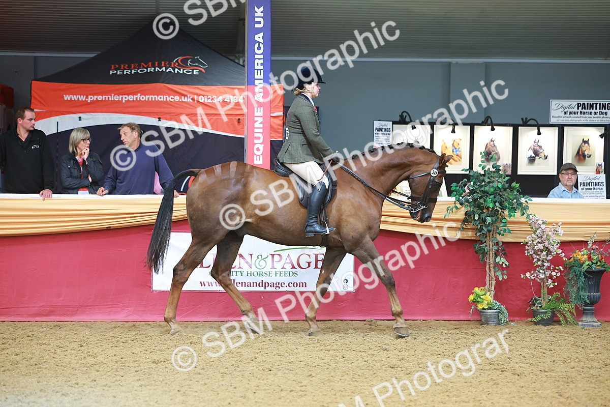 SBM_09606 - Class 102 - HOYS Veteran Qualifier - Ridden Veteran