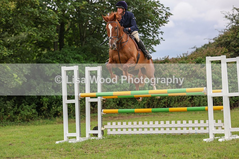 3E7A8042 - Class 7: Senior Newcomers/1.10m open