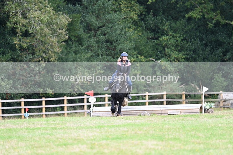 WJ7_7912 - 40cm Time 10:49 to 11:18