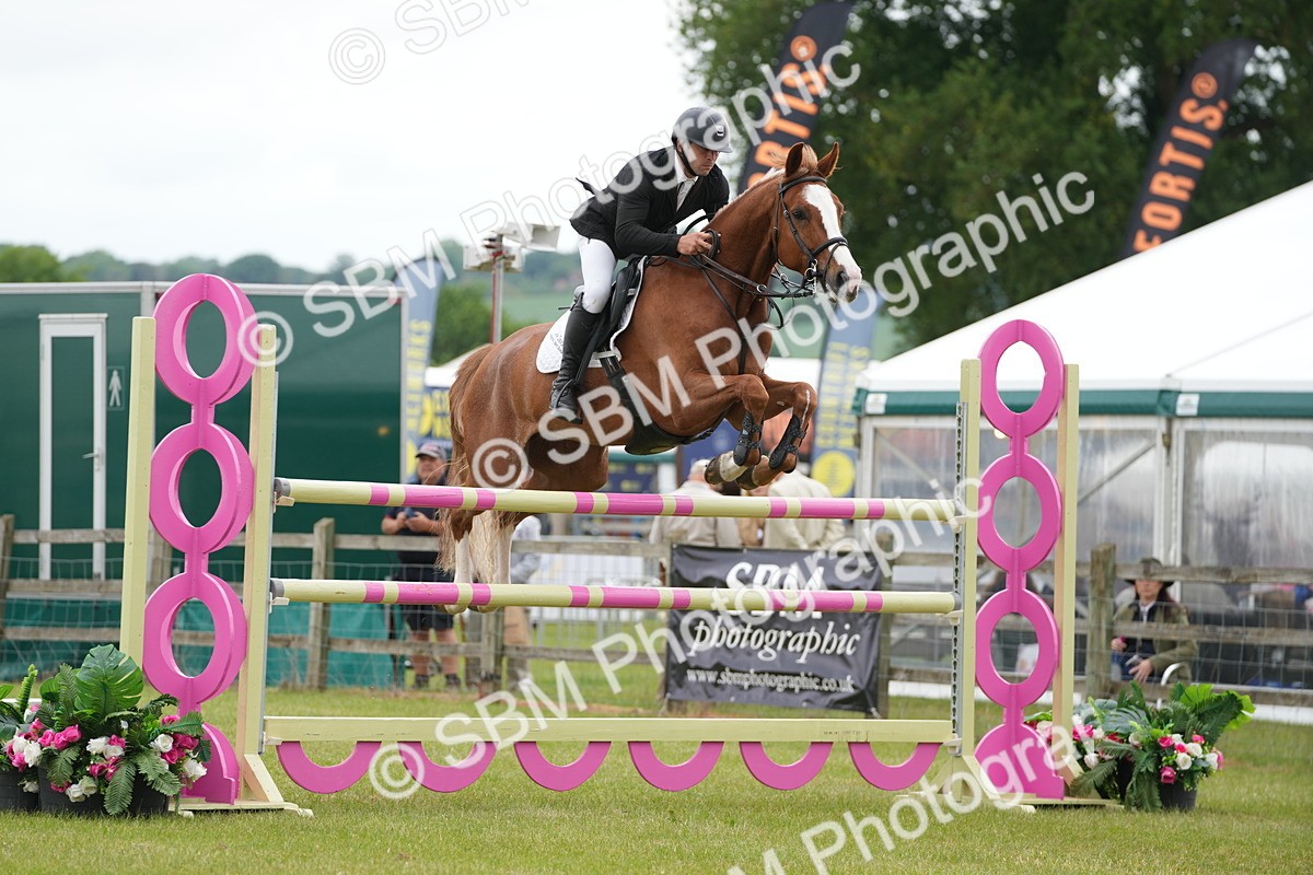 SBM_03223 - Class 201 - British Horse Feeds Speedi Beet Horse of the Year Show Grade  C