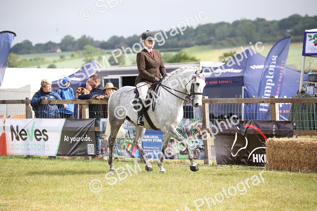 SBM_11499 - Class 95-96 - LIHS BSHA Rising Star Hack Riding Horse
