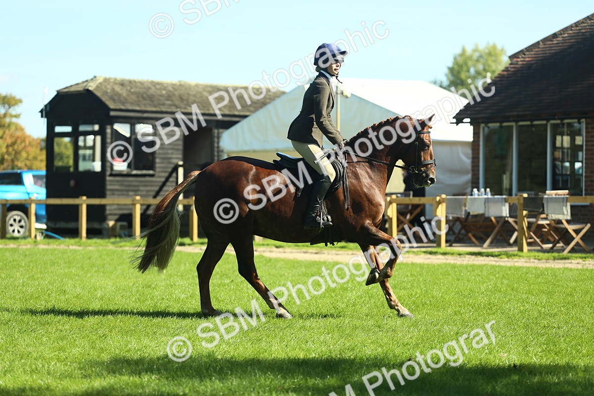 SBM_39155 - S29 - Novice & Newcomers Working Hunter Pony