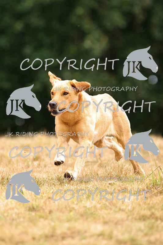 2R6A3536 - ​TEAM A: BORDER COUNTIES & COTSWOLDS 1-2-3