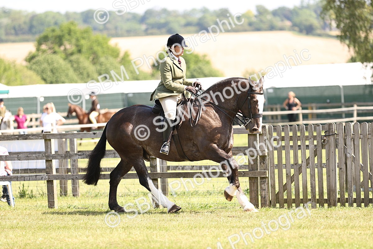 SBM_13708 - Class 77 - LIHS BSHA Rising Star Cobs