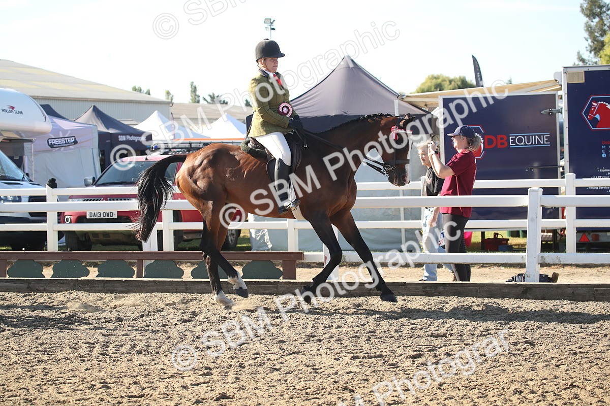 SBM_11360 - Class 501 -Riding Club Pony