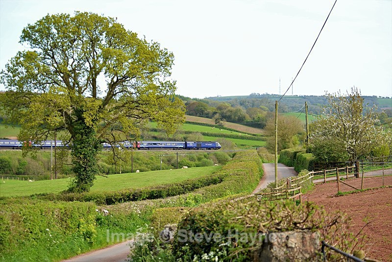 3rd May 2018 - Dainton Bank, Devon