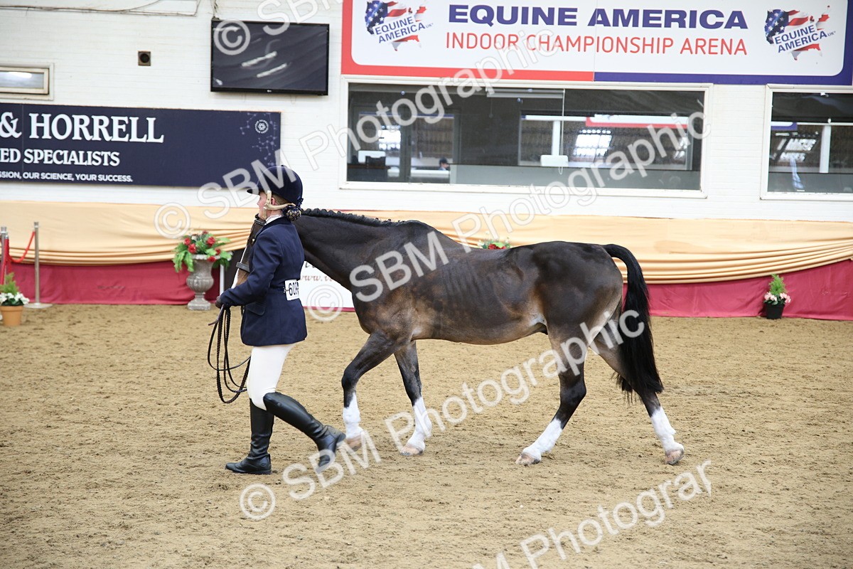 SBM_23432 - Class 904 - Supreme Final Ridden Diamond