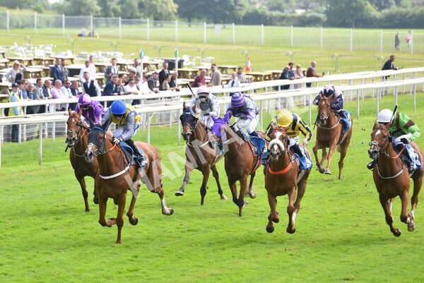 yr10072021r3-26 - Race 3: 2.55pm John Smith's Stayers Stakes
