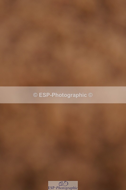 240526A-090158-06968 - Cls 30 Snr 1.20m Open