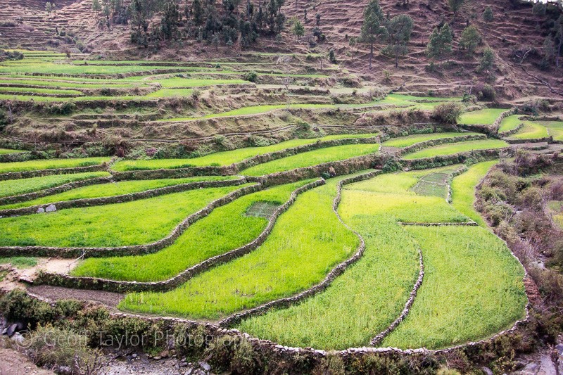 Dalar to Risal - Binsar Sanctuary