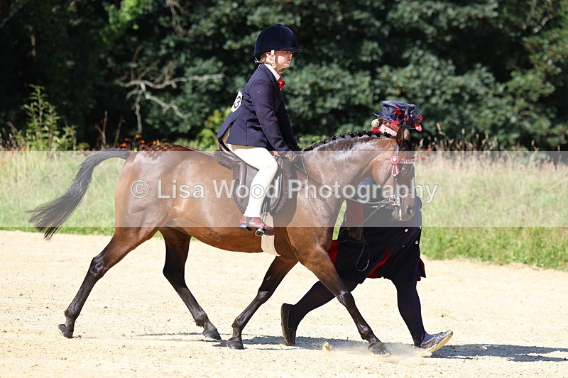 3E7A7970 - Class 14: Tack and Turnout