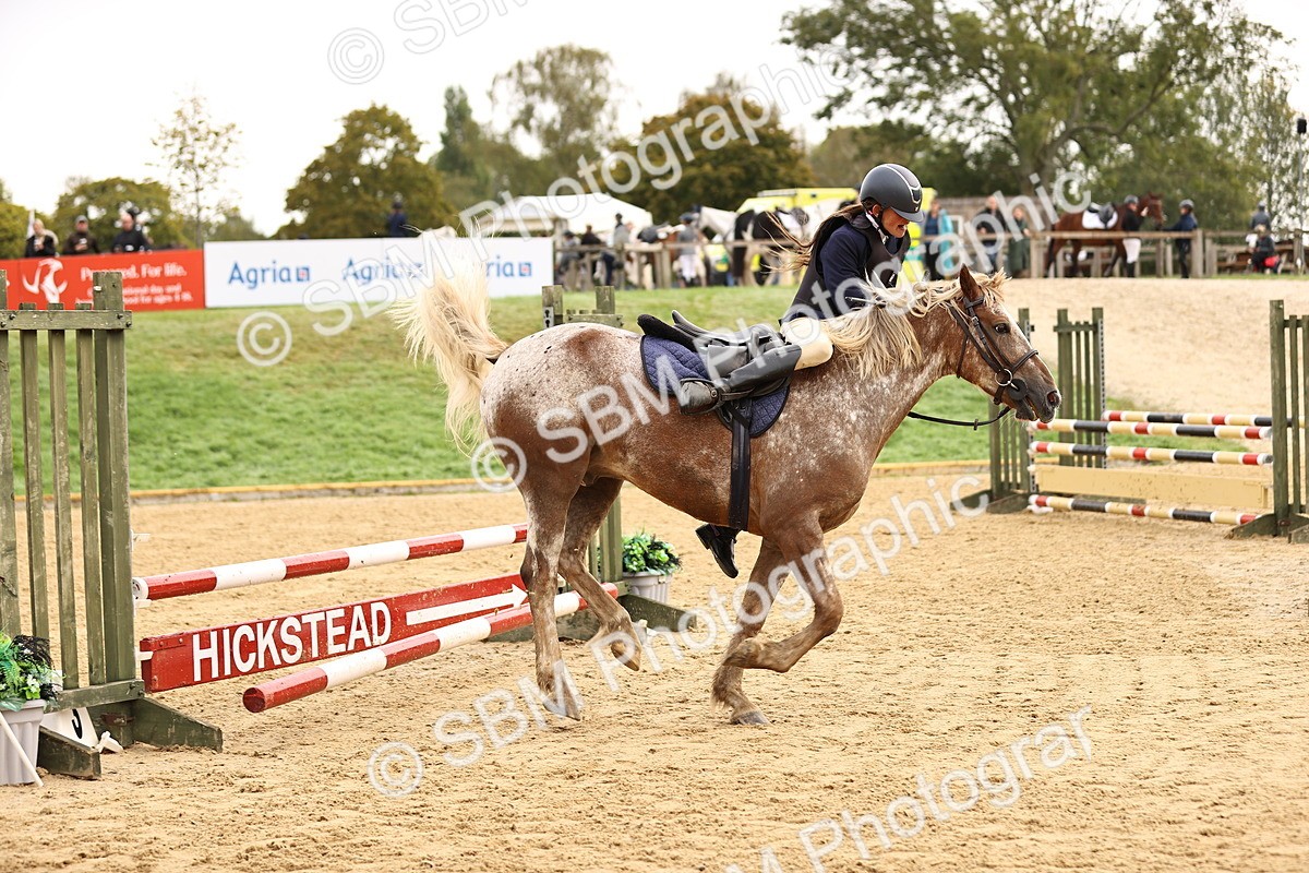 SBM_58414 - J41 - Grand Tour Horse & Pony 95cm