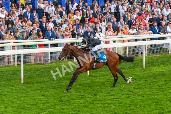 260823-Race 6-Inquisitively-0887 - Race 6 Julia Graves Roses Stakes at York
