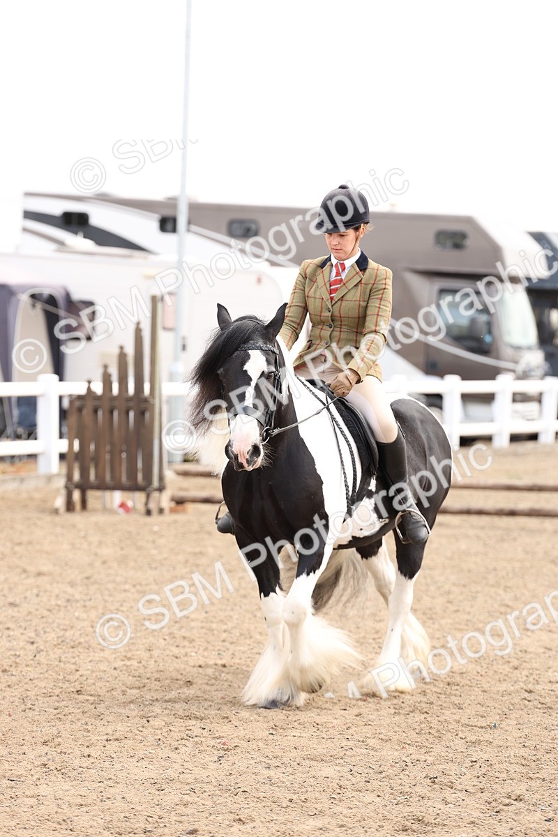 SBM_04239 - Class 54 - Riding Club Horse/Pony