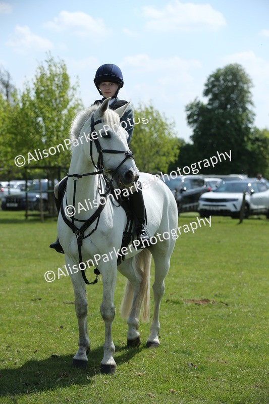 20250427-3433 - Class 8 - Handsomest Gelding