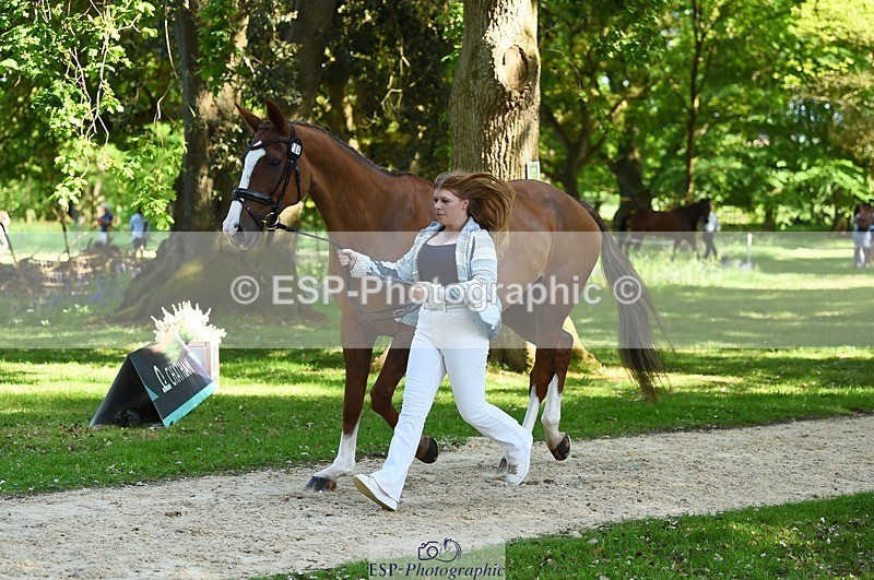 230524-155620-00566 - 204-INDIAN_GIRL_G-Jasmine_Underwood-WEDTrotUp+DR