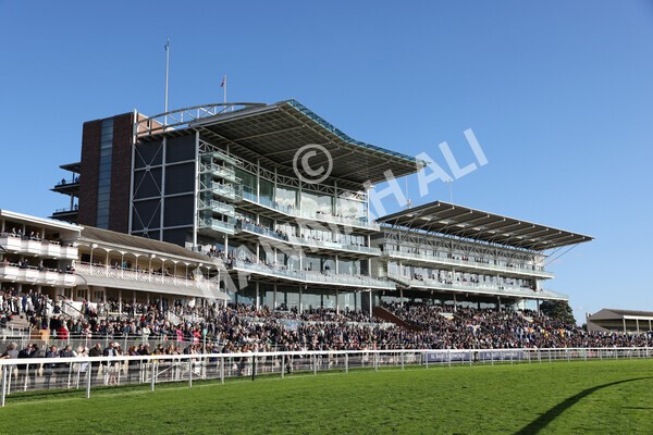 yr08102022r5-26 - Race 5 3.50pm The Coral Committed To Safer Gambling EBFStallions.com Maiden Stakes