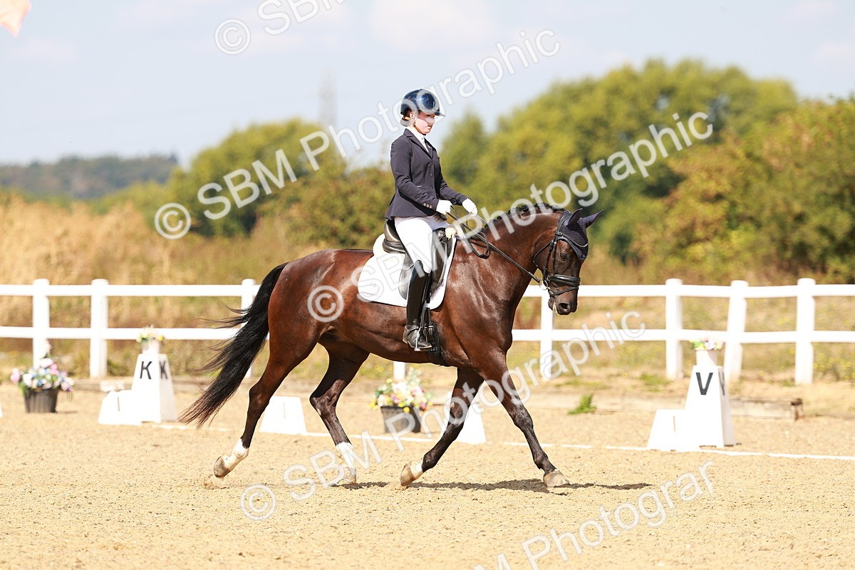 SBM_018386 - Class 9 - N5 Bronze 11.57.13.07