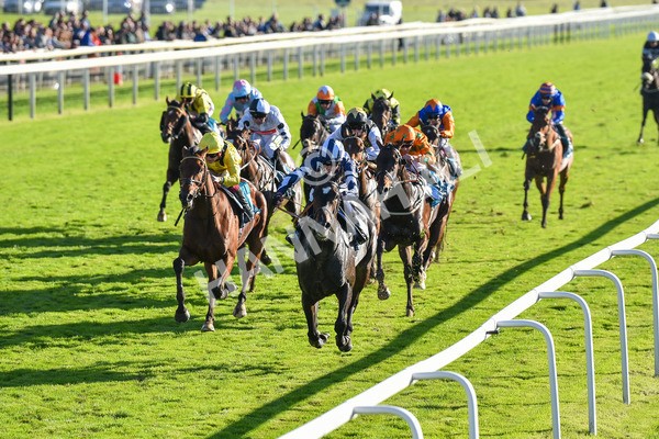 141023-Race 5-Certain Lad-1335 - Race 5 3.35pm Coral Racing Bet Bundles Handicap