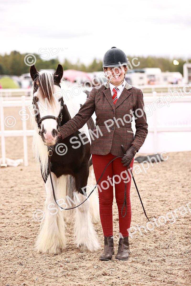 SBM_16864 - Class414 - Best maine & Tail - Adult