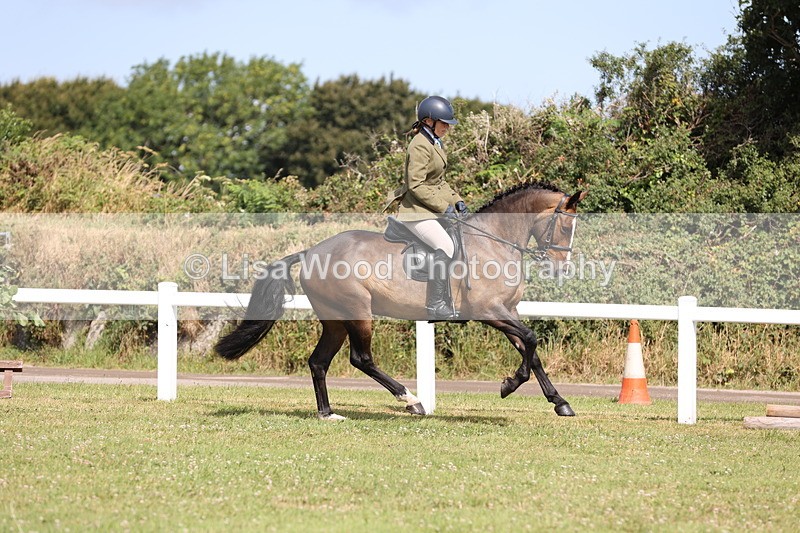 JPP_1174 - Class 17: Cornish Combination Open