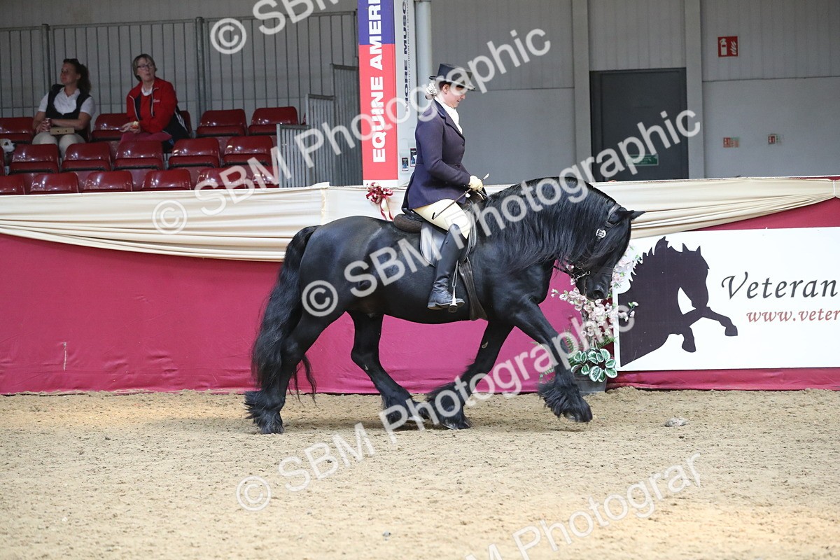 SBM_16316 - Class 502 M&M Ridden Supreme Final