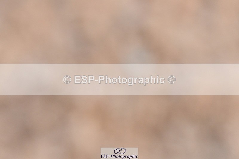 240107A-092448-00102 - Quest DR Tests