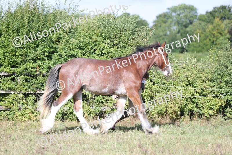 20250831-1357 - Class 21 - Inhand Open