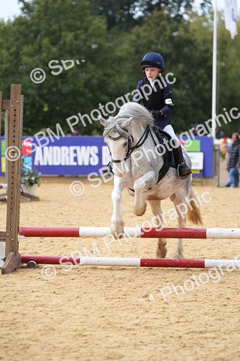 SBM_74723 - J4 - Mini Tour Junior Pony 45cm Championship