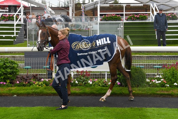 140723-Race 2-Swingalong-0107 - Race 2 2.40pm William Hill Summer Stakes