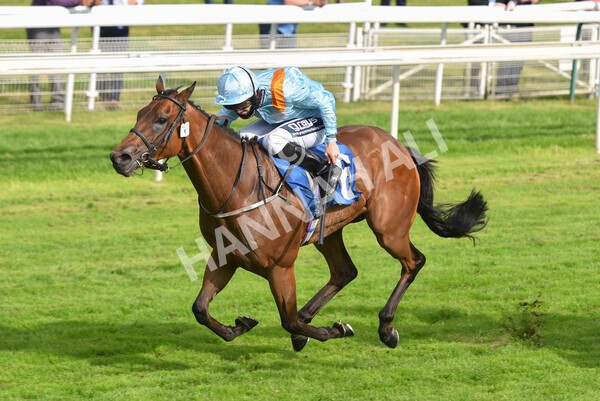 yr09072021r7-19 - Race 7 5.30pm William Hill Extra Place Races Stakes