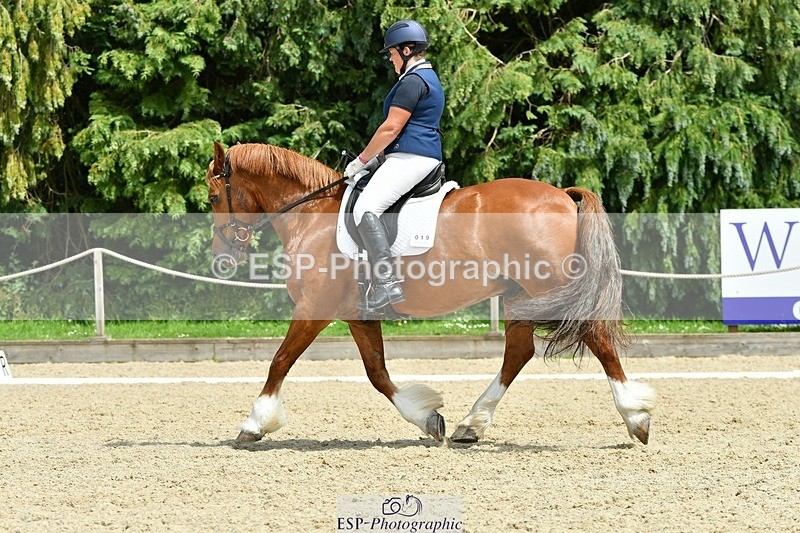 230623-141830-00950 - Cls 5 Elementary 43