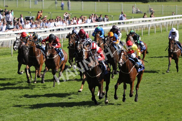  - Race 6 4.50pm The Ice Co supporting Macmillan Stakes