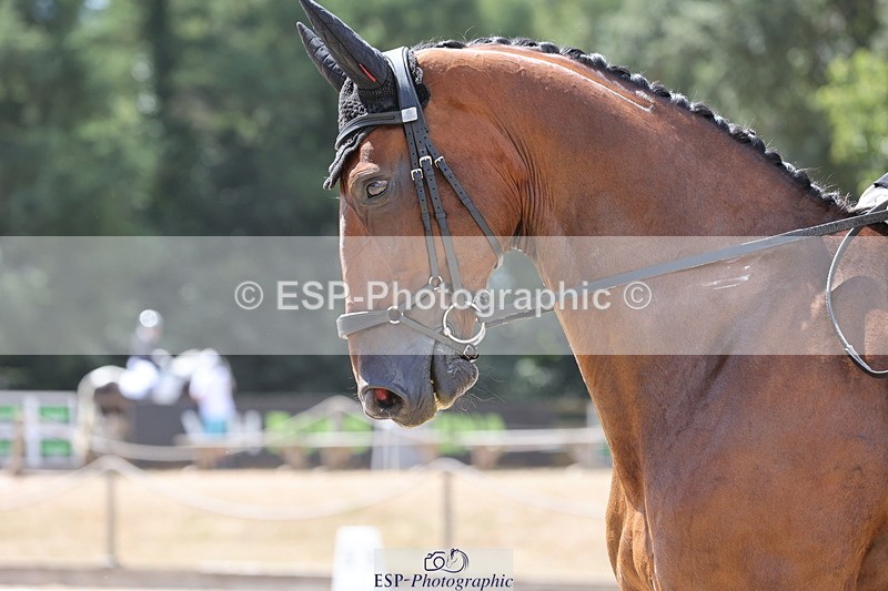 250809A-132920-03519 - 041-Laura.GreenIreldo.L