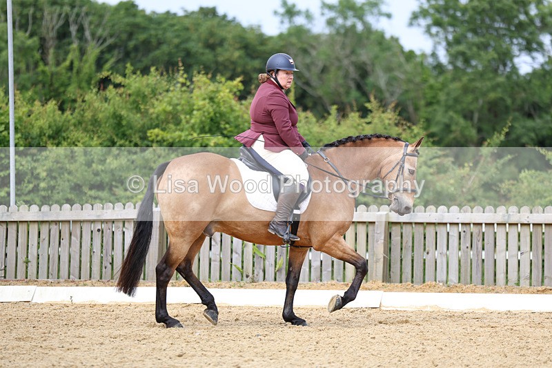 3E7A9116 - Class 2: Intro 1 2024 Section B