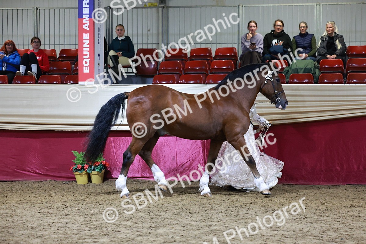 SBM_21418 - Class U - Costume Confour Champ